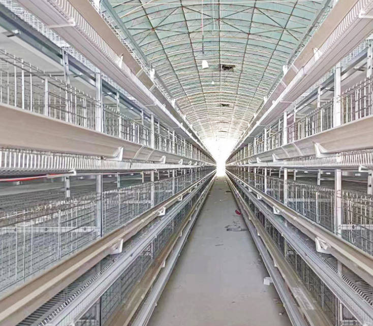 Compact stacked egg chicken cage, three-dimensional stepped breeding farm, three story and four story breeding cage, recommended for three-dimensional breeding