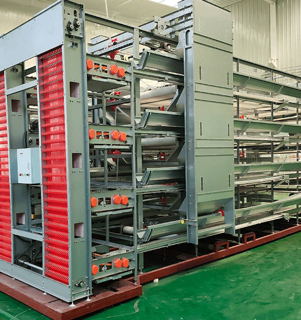 Chicken Farm Automatic Egg Picking Machine Breeding Cage Chicken Raising Equipment Vertical Automation Three layer Egg Chicken Cage Multi layer Chicken Cage