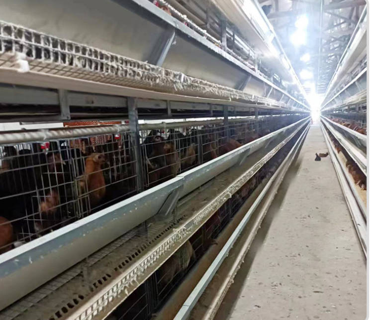 Large stacked egg chicken equipment, breeding cage, fully automated chicken cage installation, hot-dip galvanized broiler cage, stacked type