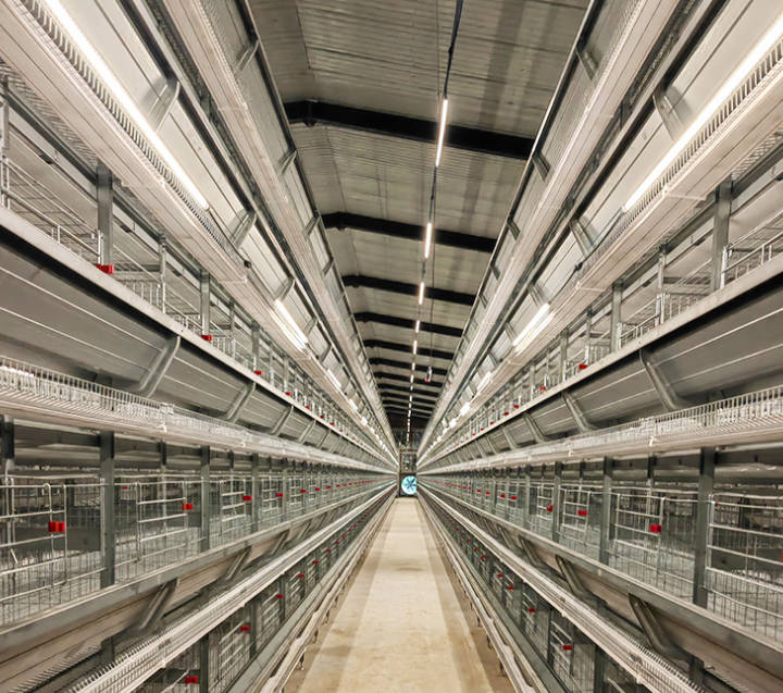 Compact Stacked Egg Chicken Cage, three-dimensional stepped breeding farm, three-story and four-story breeding cage, recommended for three-dimensional breeding