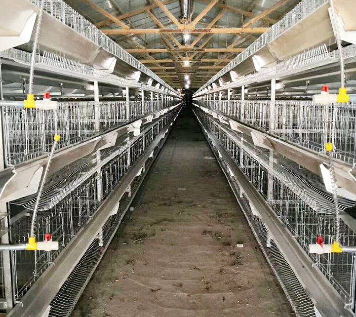 Vertical stacked egg chicken cage, three-dimensional stepped breeding farm, three story and four story breeding cage, recommended for three-dimensional breeding