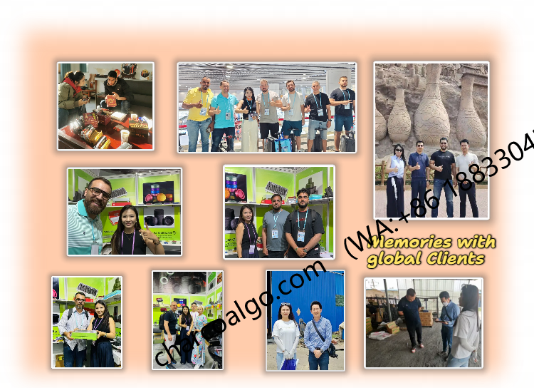 Charbon de barbecue - Briquettes de charbon de bambou carrées