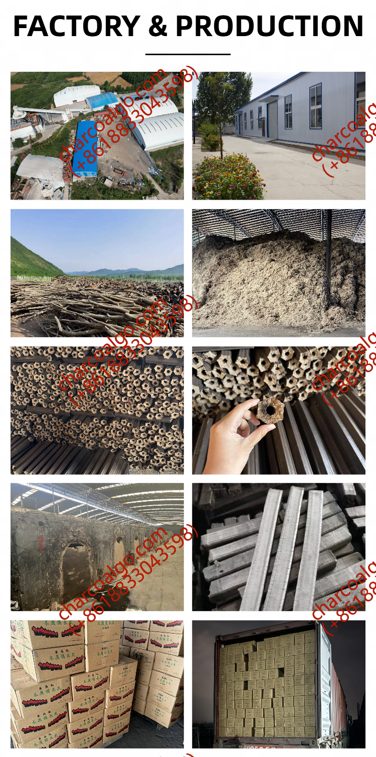 Charbon de pin rectangulaire - Charbon mécanisé pour barbecue