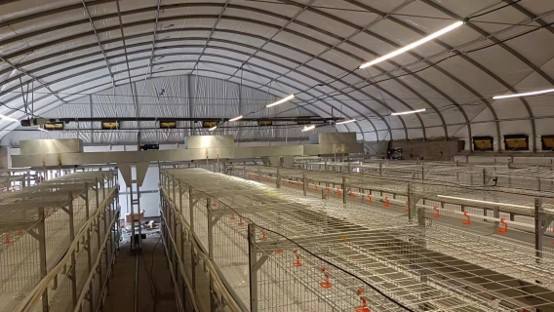 Overhead Travelling Feeding Machine for Poultry Cages