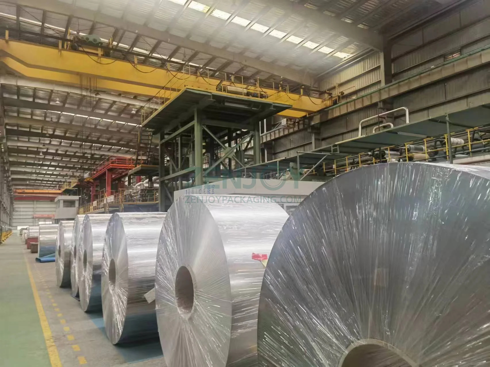 Tin-free Steel (TFS) Sheet in Coil
