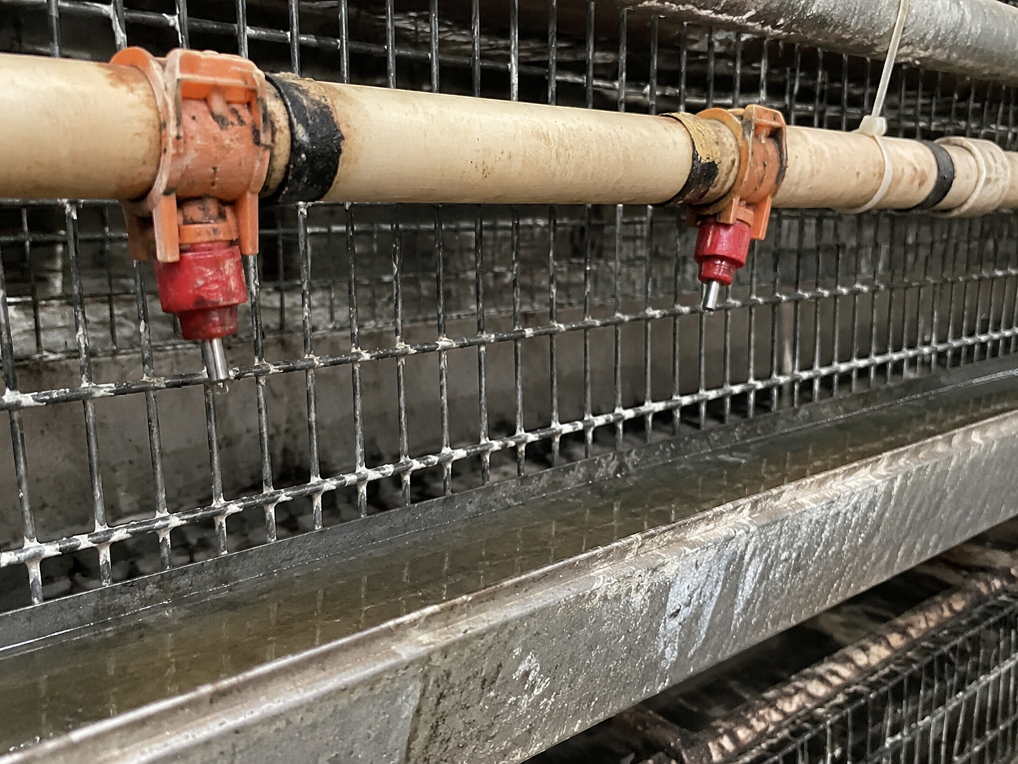 drinking-line-fault-details-aged-nipple-loose-joint-gasket-sagging-pipe