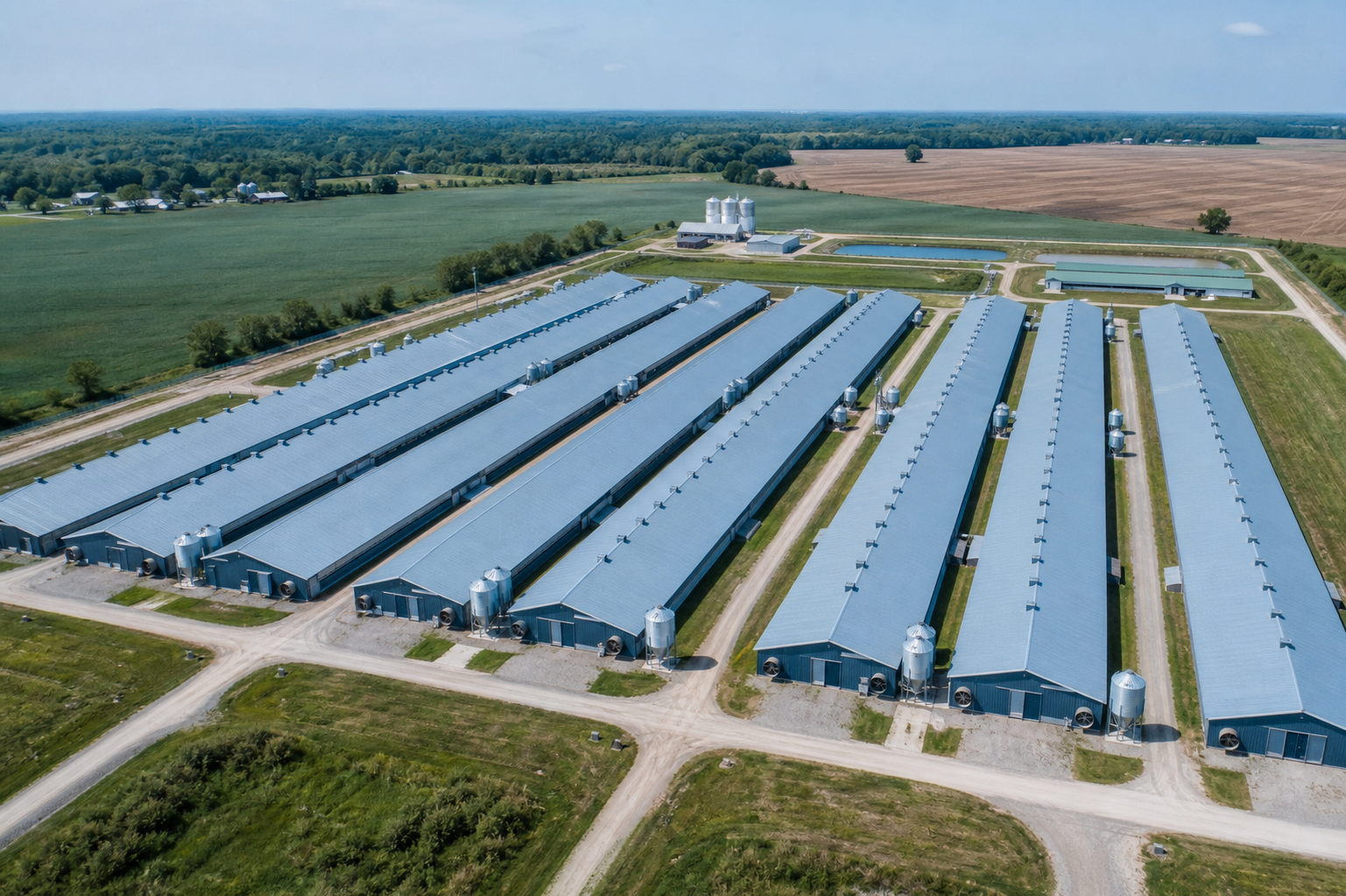 large-commercial-layer-farm-aerial-panorama